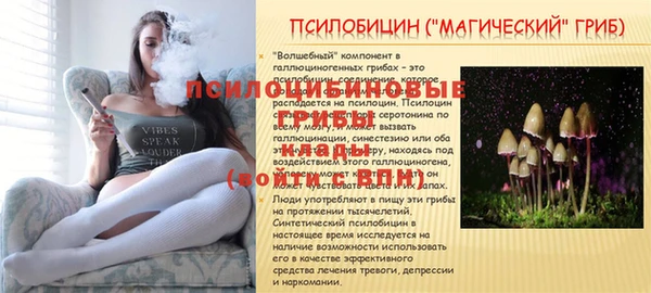 скорость mdpv Белоозёрский