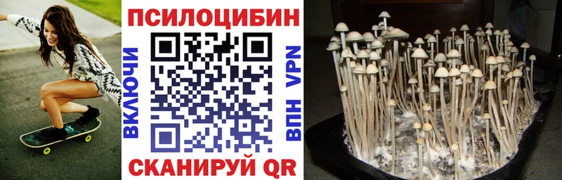 продажа наркотиков Кольчугино МЕГА вход Галлюциногенные грибы ЛСД